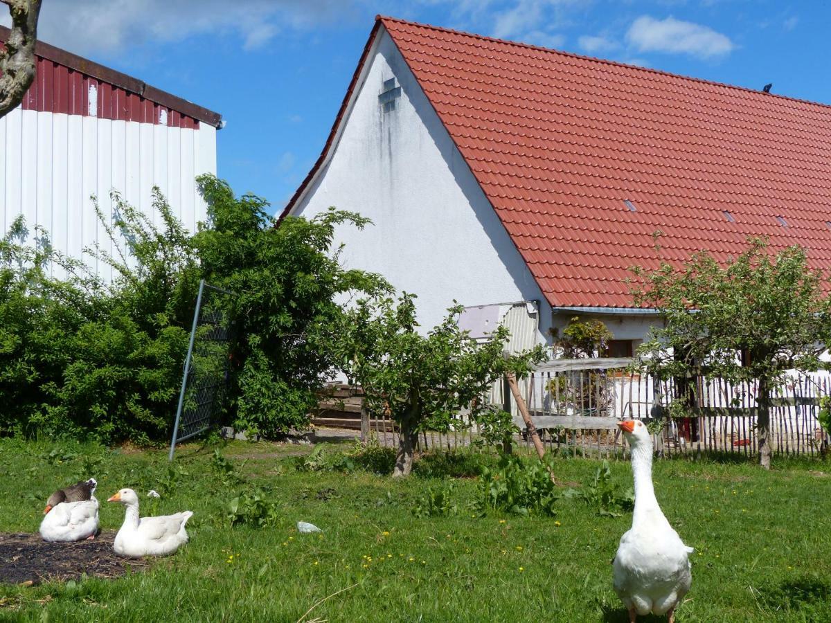Die Gefaehrten Oberhausen  المظهر الخارجي الصورة